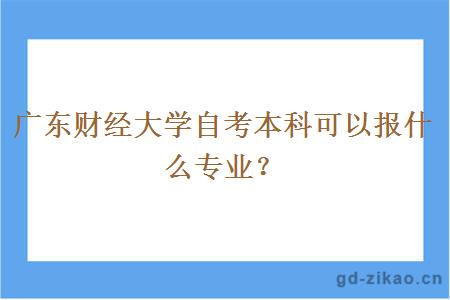 广东财经大学自考本科可以报什么专业？