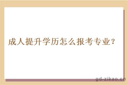 成人提升学历怎么报考专业？