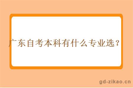 广东自考本科有什么专业选？