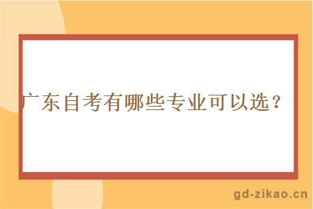 广东自考有哪些专业可以选？