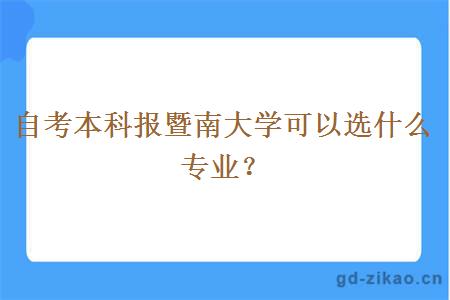 自考本科报暨南大学可以选什么专业？