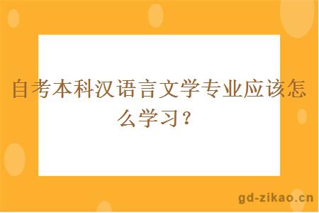自考本科汉语言文学专业应该怎么学习？