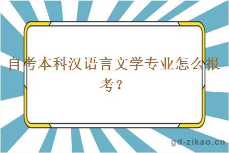 自考本科汉语言文学专业怎么报考？