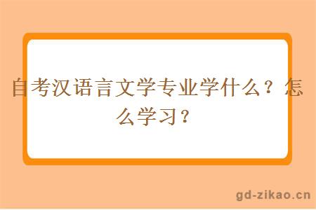 自考汉语言文学专业学什么？怎么学习？