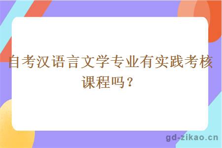 自考汉语言文学专业有实践考核课程吗？