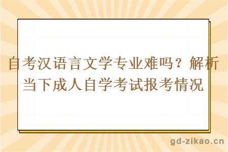 自考汉语言文学专业难吗？解析当下成人自学考试报考情况