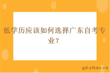 低学历应该如何选择广东自考专业？