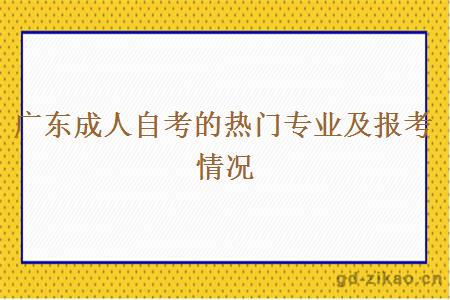 广东成人自考的热门专业及报考情况