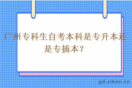 广州专科生自考本科是专升本还是专插本？