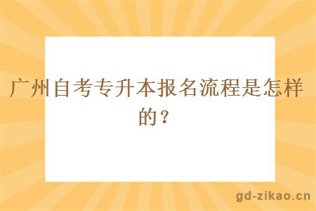 广州自考专升本报名流程是怎样的？