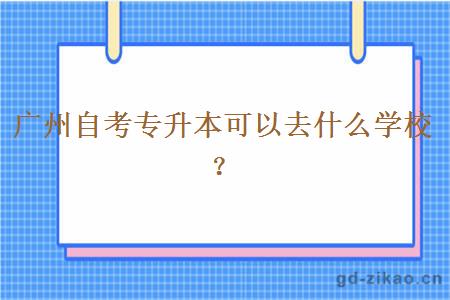 广州自考专升本可以去什么学校？