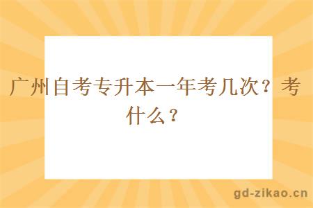 广州自考专升本一年考几次？考什么？