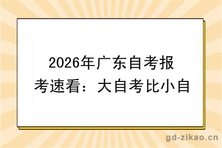 2026年广东自考报考速看：大自考比小自考难很多？到底选哪个？