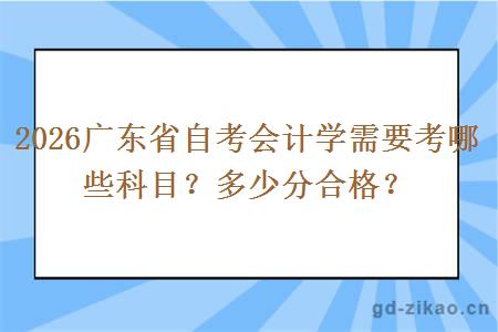 2026广东省自考会计学需要考哪些科目?多少分合格? 2026广东省自考会计学需要考哪些科目?多少分合格?