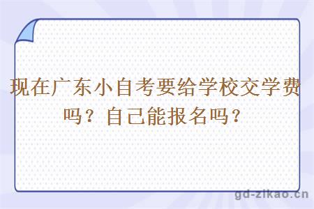 现在广东小自考要给学校交学费吗？自己能报名吗？
